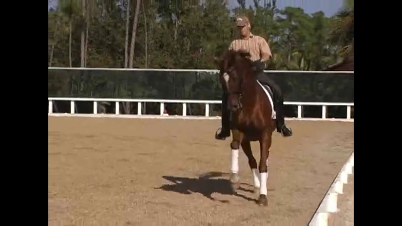 Piaffe & Pirouettes, Strengthening the Hind Leg | Katrin Bettenworth | PART 02