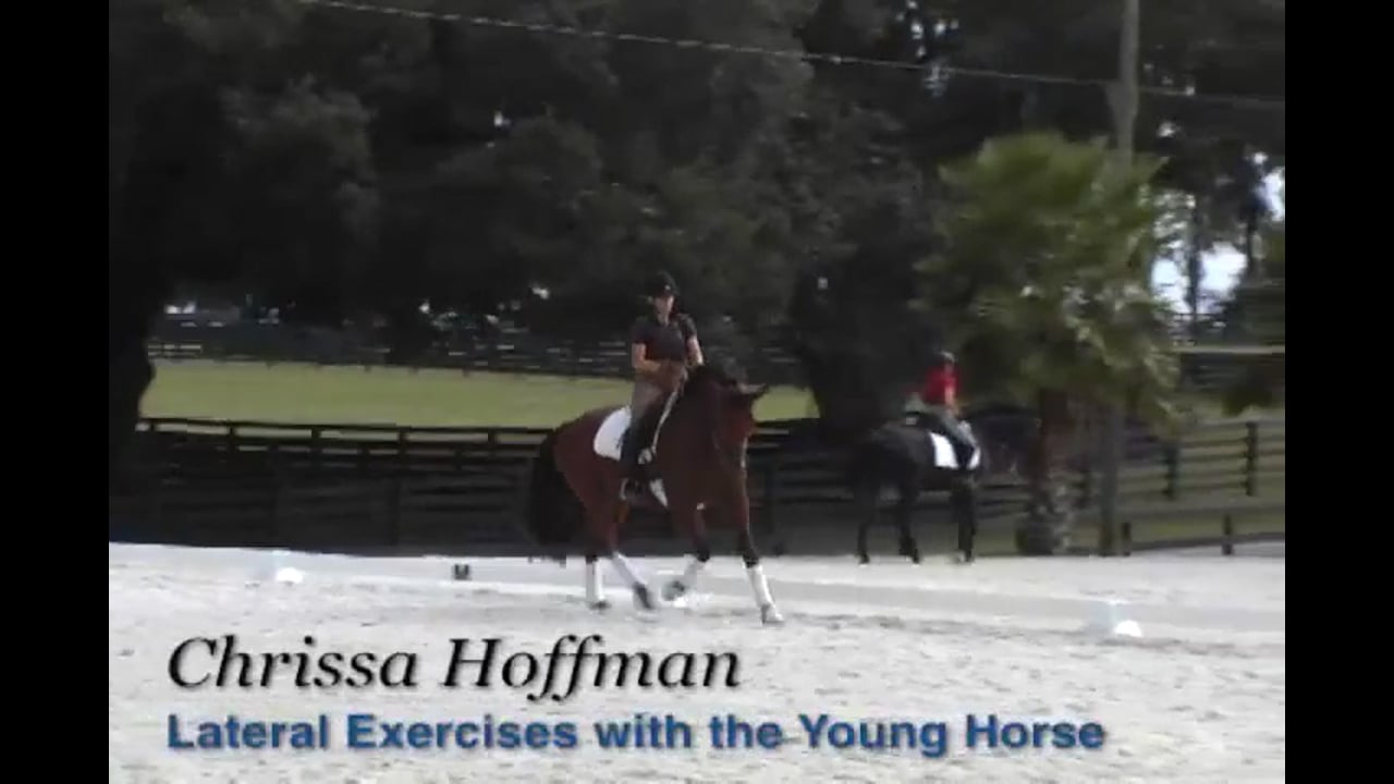 Lateral Exercises for the Young Horse | Chrissa Hoffman | PART 02