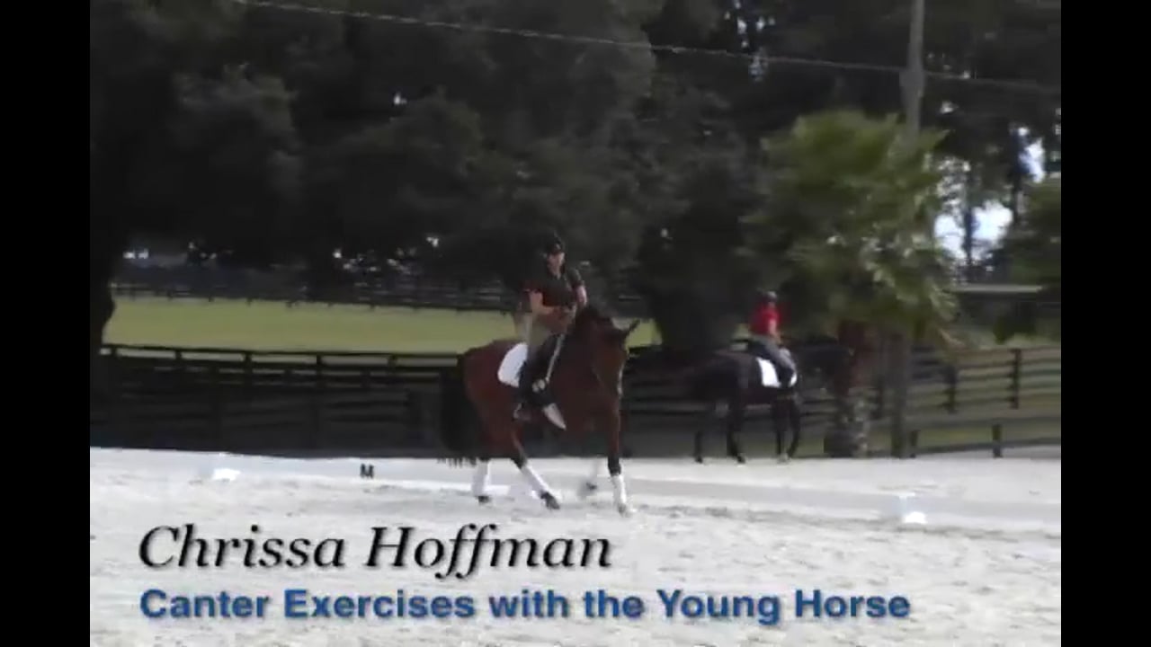 Canter Exercises for the Young Horse | Chrissa Hoffman | PART 02