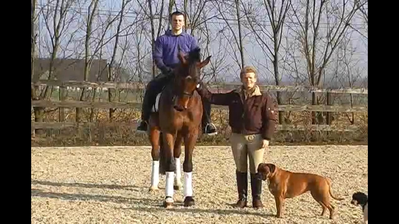 Strengthen the Hind Leg & Stop Lying on the Bit | Karin Bettenworth | PART 01