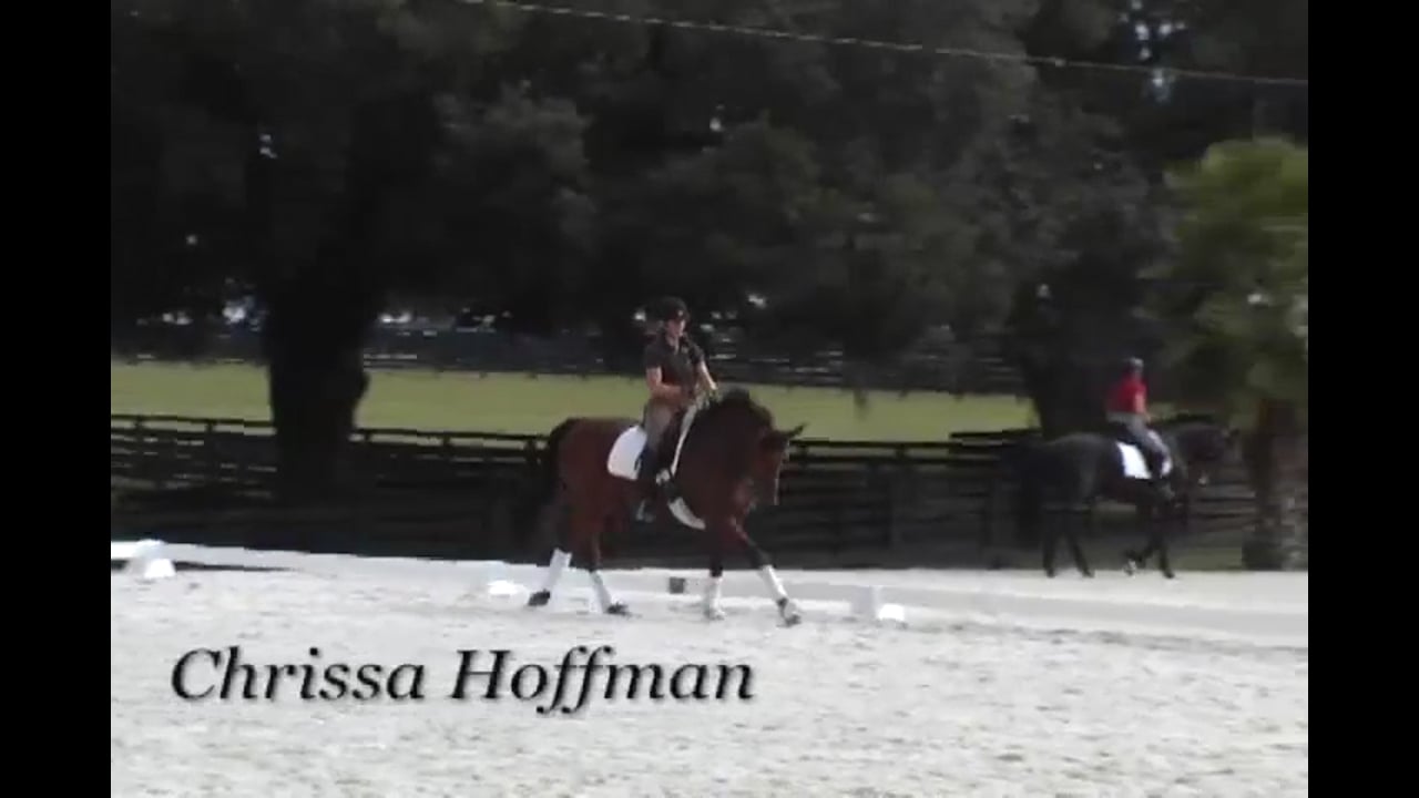 Lateral Exercises for the Young Horse | Chrissa Hoffman | PART 01