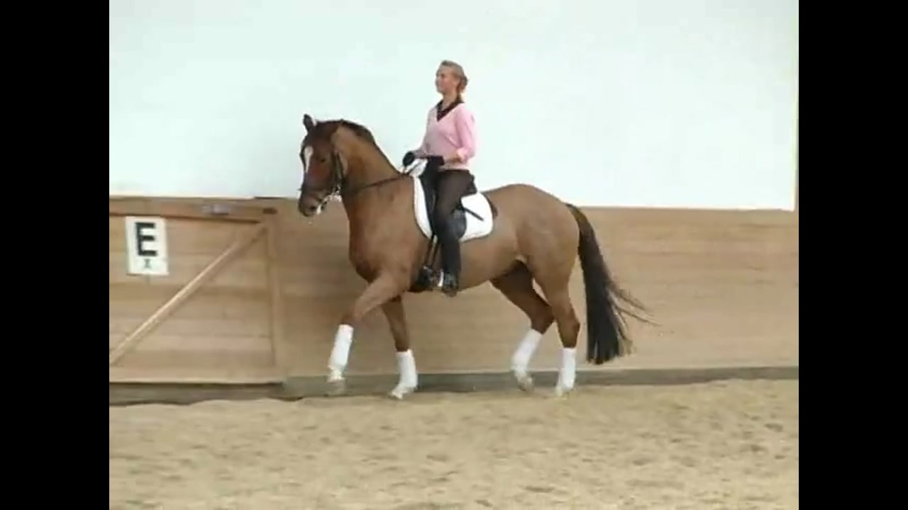 2007 Succeed/USDF FEI Level Trainer's Conf. Day 2 | Jeremy Steinberg | PART 01