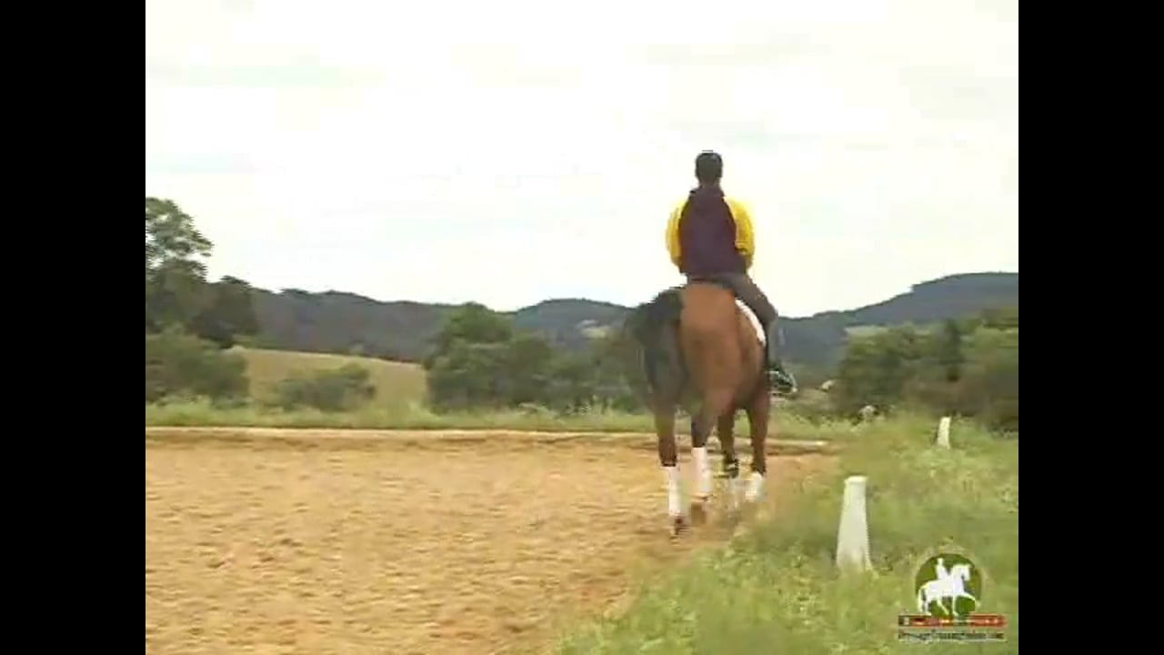 Keeping the activity, stop the leaning on the hands - 1/2012, FarmVet/USDF Adult
