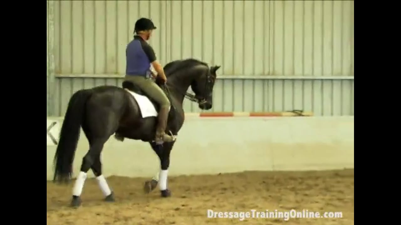 Grand Prix Schooling