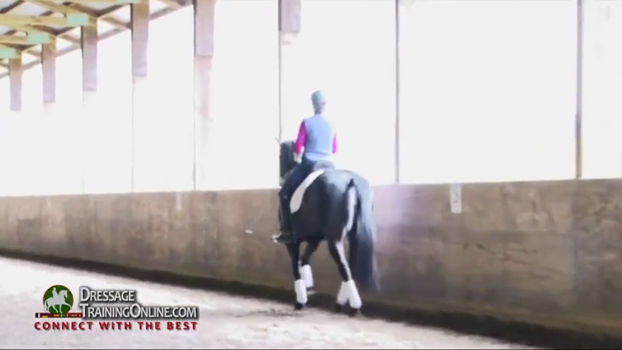 Lateral flexion and Trot | Colonel Christian Carde