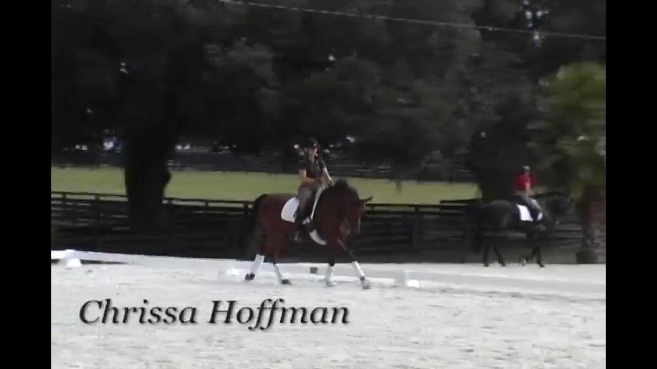 Canter Exercises for the Young Horse | Chrissa Hoffman | PART 01