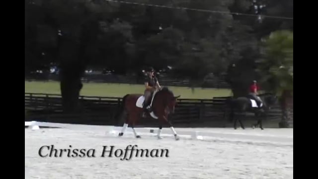 Canter Exercises for the Young Horse | Chrissa Hoffman | PART 01