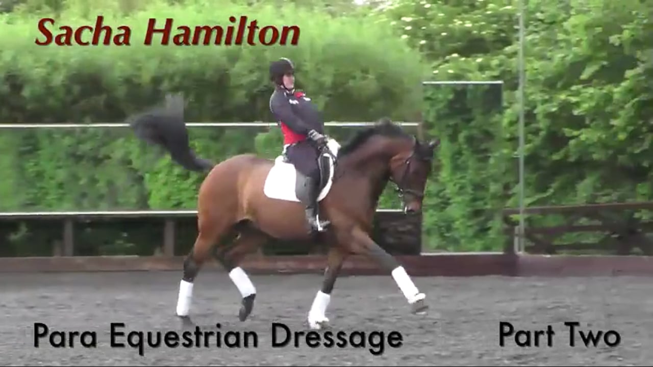 Sacha Hamilton - Para Equestrian Dressage - Part 2