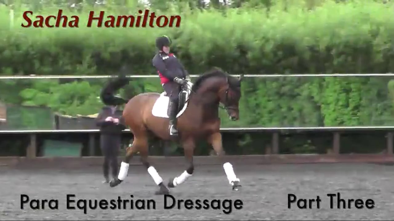 Sacha Hamilton - Para Equestrian Dressage - Part 3