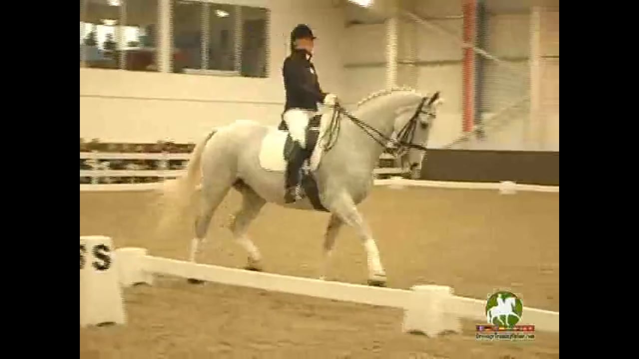 Keeping the Horse Soft | Henk Van Bergen | PART 02