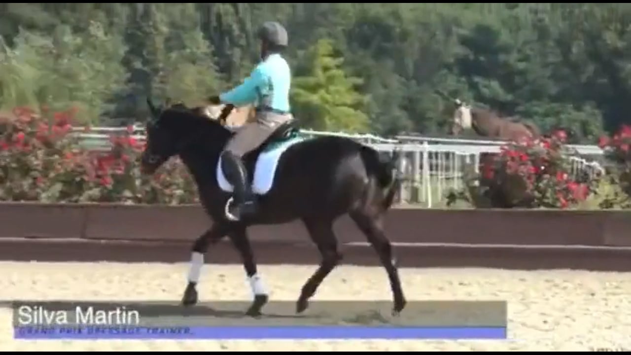 Lessons | Silva Martin | TRAILER