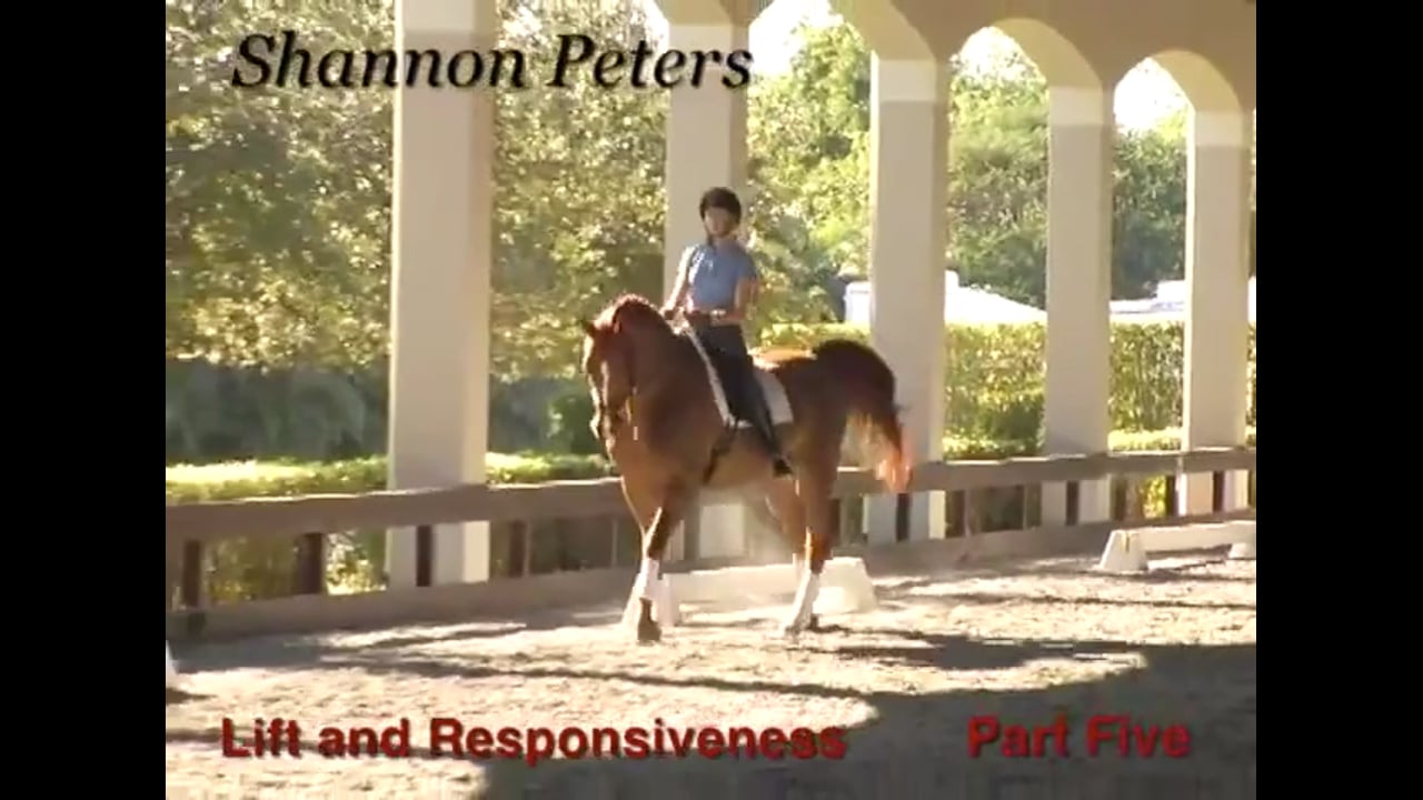 Lift and Responsiveness at the Second Level | Shannon Peters | PART 05