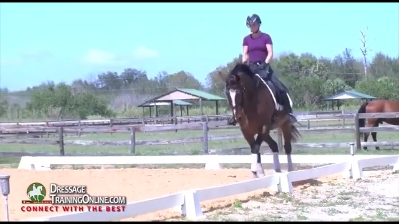 Lower-Level Schoolmaster | Chrissa Hoffman | INTRO