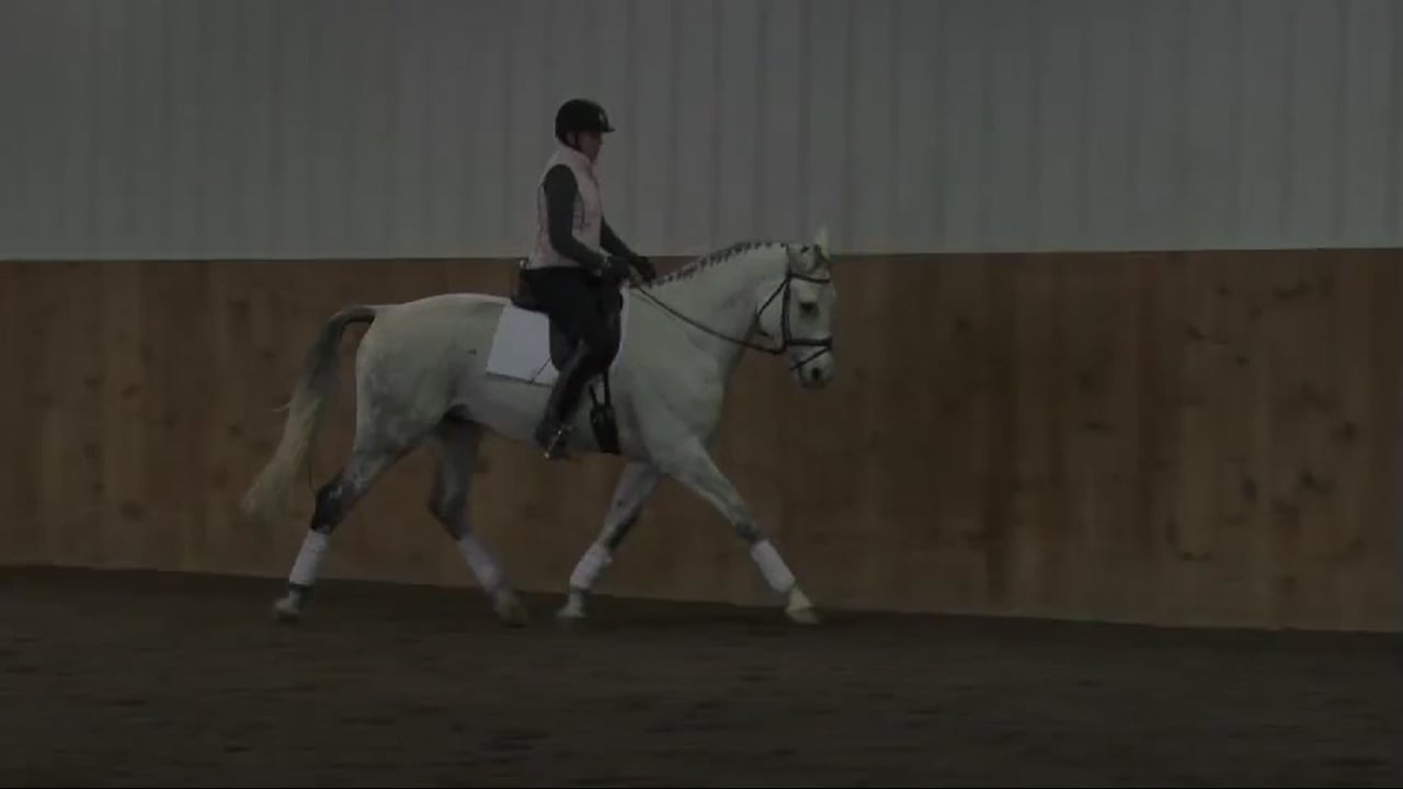 Training Level, Contact | Lilo Fore | PART 07