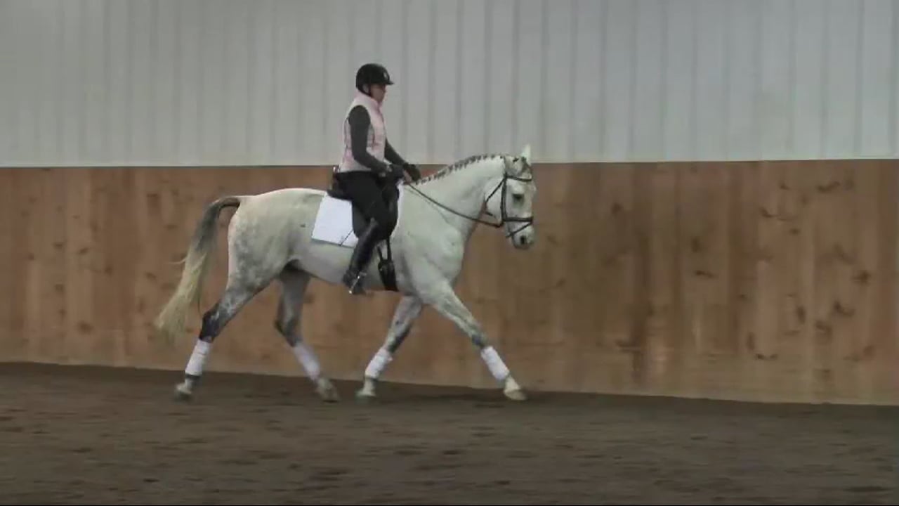 Training Level, Contact | Lilo Fore | PART 05