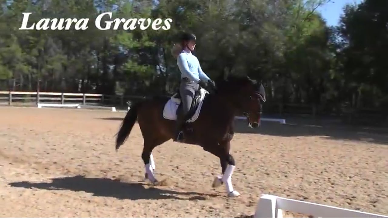 Lateral Work in the Trot | Guenter Zach | PART 02