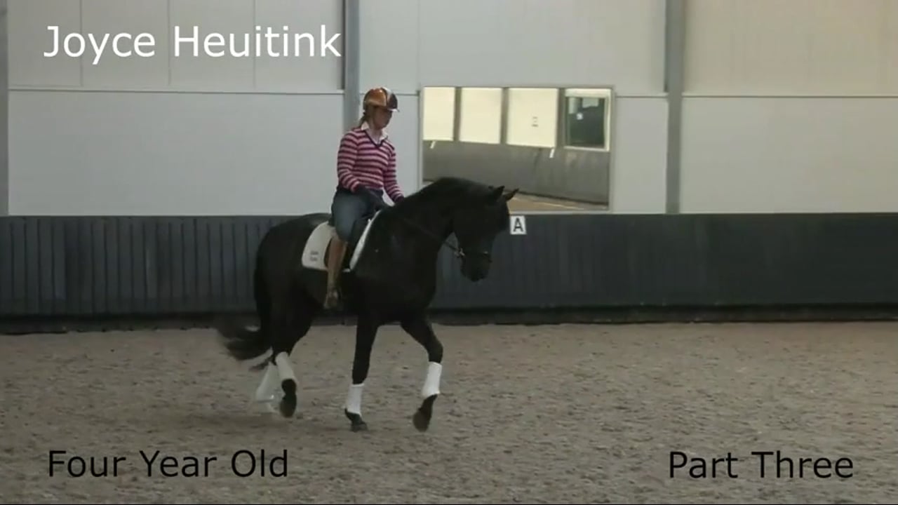 Leaning on the Rein, Rein-Back, Transitions | Joyce Heuitink | PART 03