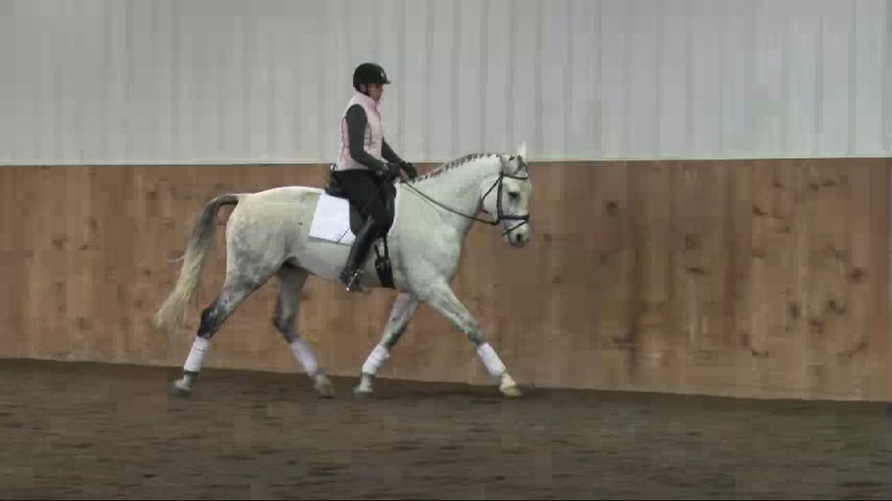 Training Level, Contact | Lilo Fore | PART 04