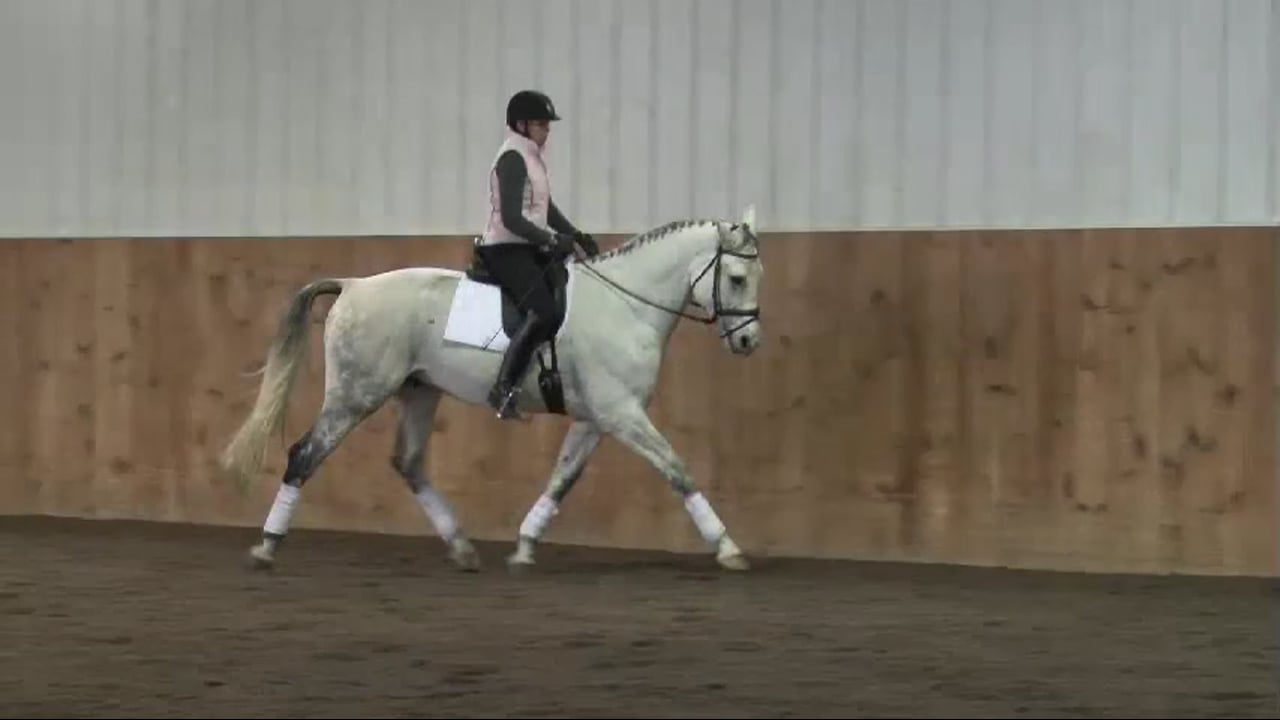 Training Level, Contact | Lilo Fore | PART 03