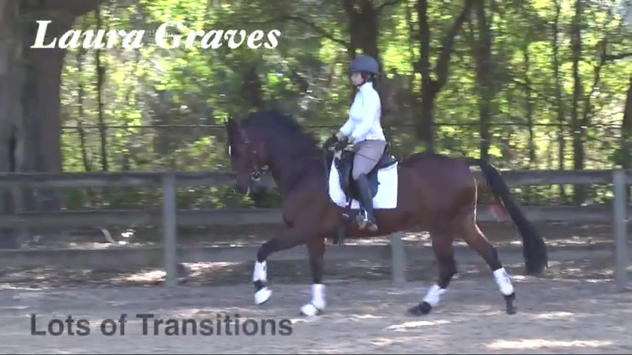 Lots of Transitions - Part 2