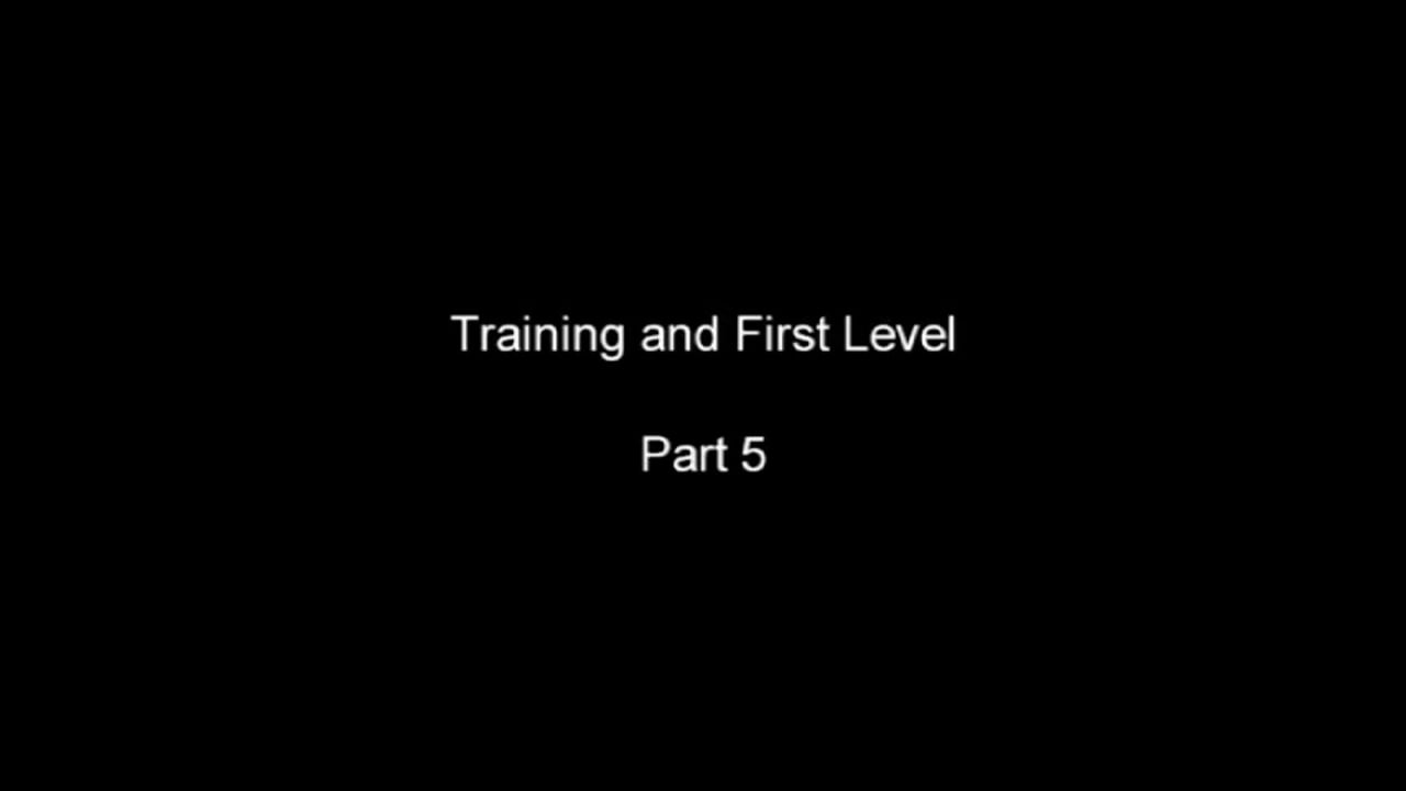 Correct Foundation Through Levels | Steffen Peters and Janet Brown Foy | PART 06