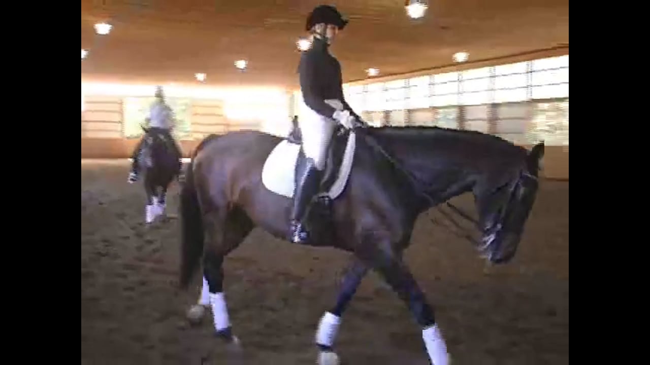 Correct Foundation Through Levels | Steffen Peters and Janet Brown Foy | PART 19