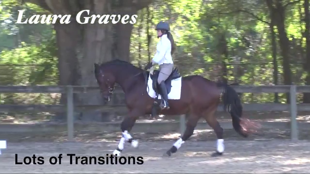 Lots of Transitions - Part 3