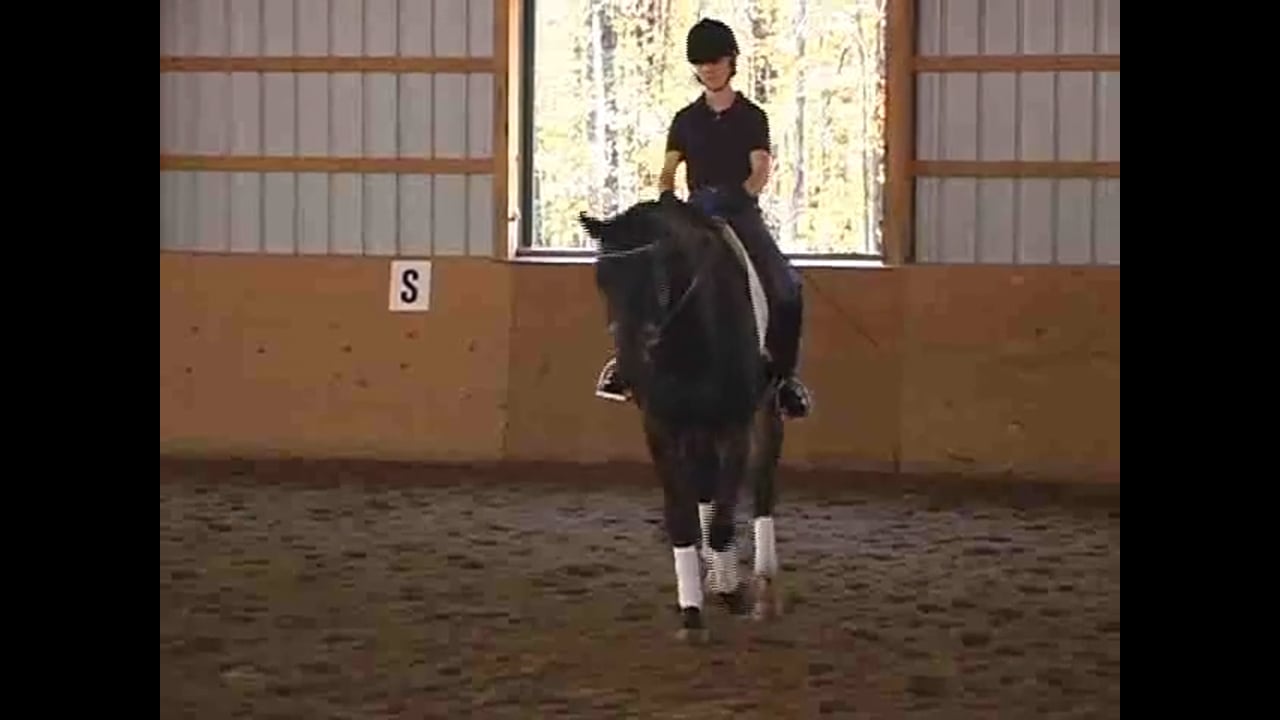 Correct Foundation Through Levels | Steffen Peters and Janet Brown Foy | PART 01