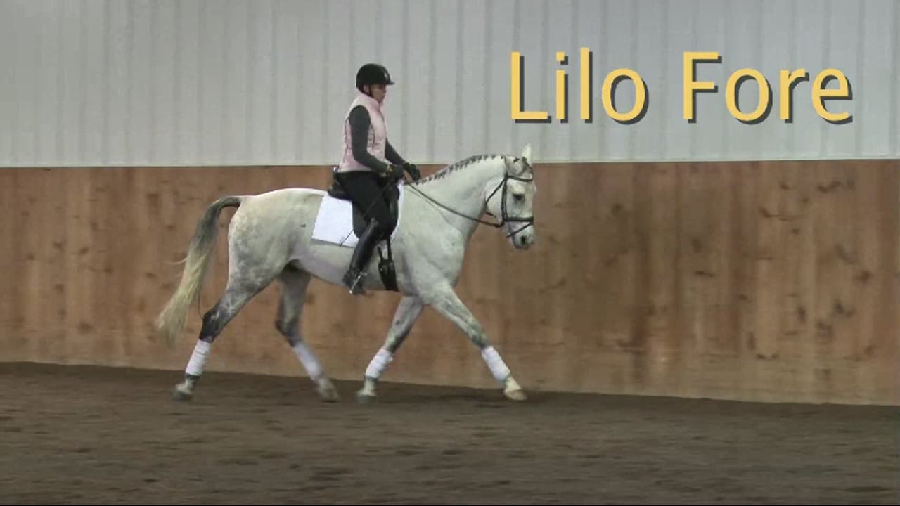 Training Level, Contact | Lilo Fore | PART 02