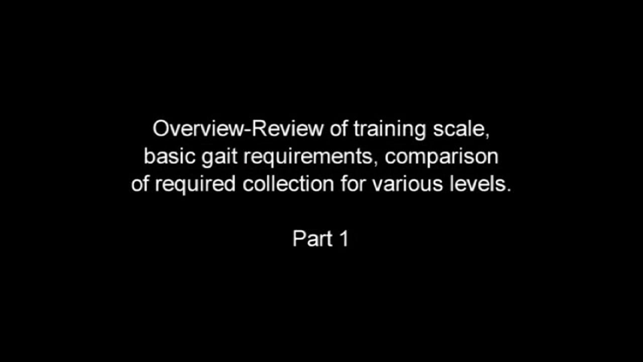 Correct Foundation Through Levels | Steffen Peters and Janet Brown Foy | PART 13