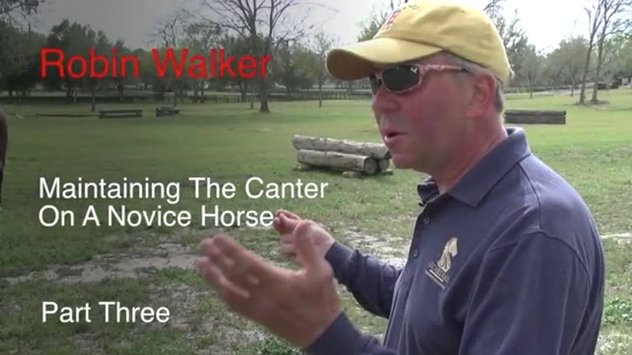 Maintaining The Canter Of The Novice Horse | Robin Walker | PART 03