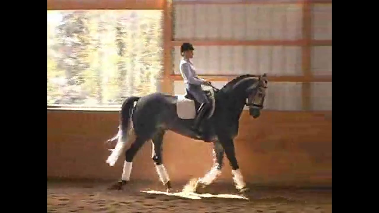 Correct Foundation Through Levels | Steffen Peters and Janet Brown Foy | PART 05