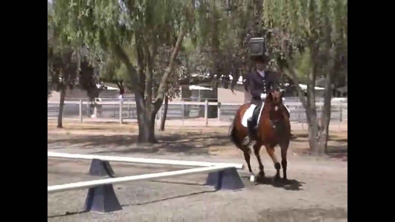 Second Level Test 1 | Marlene Schneider