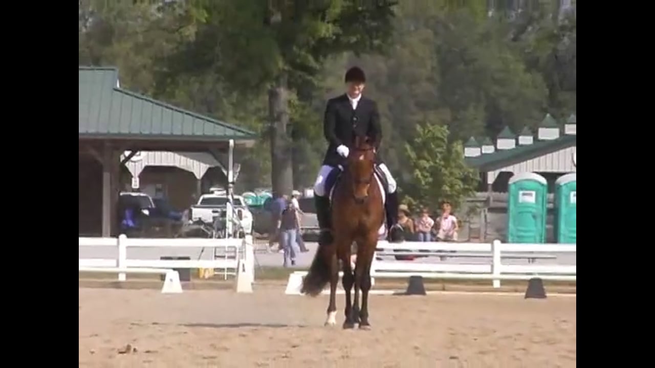 Second Level Test 2 | Marlene Schneider