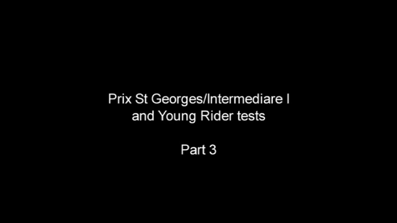 Correct Foundation Through Levels | Steffen Peters and Janet Brown Foy | PART 20