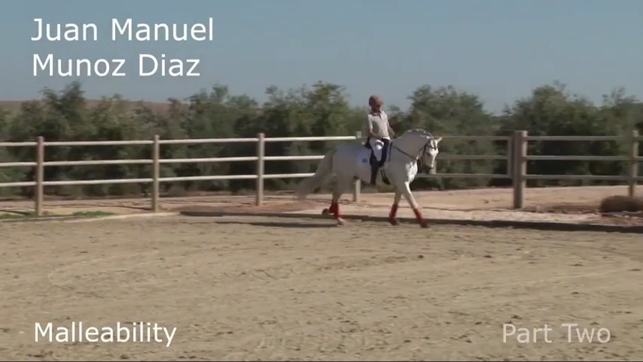 Malleability | Juan Manuel Munoz Diaz | PART 02