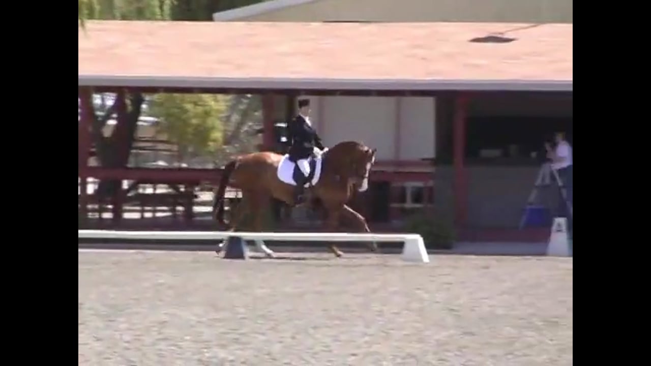 Judging Fourth Level Test 2 | Marlene Schneider