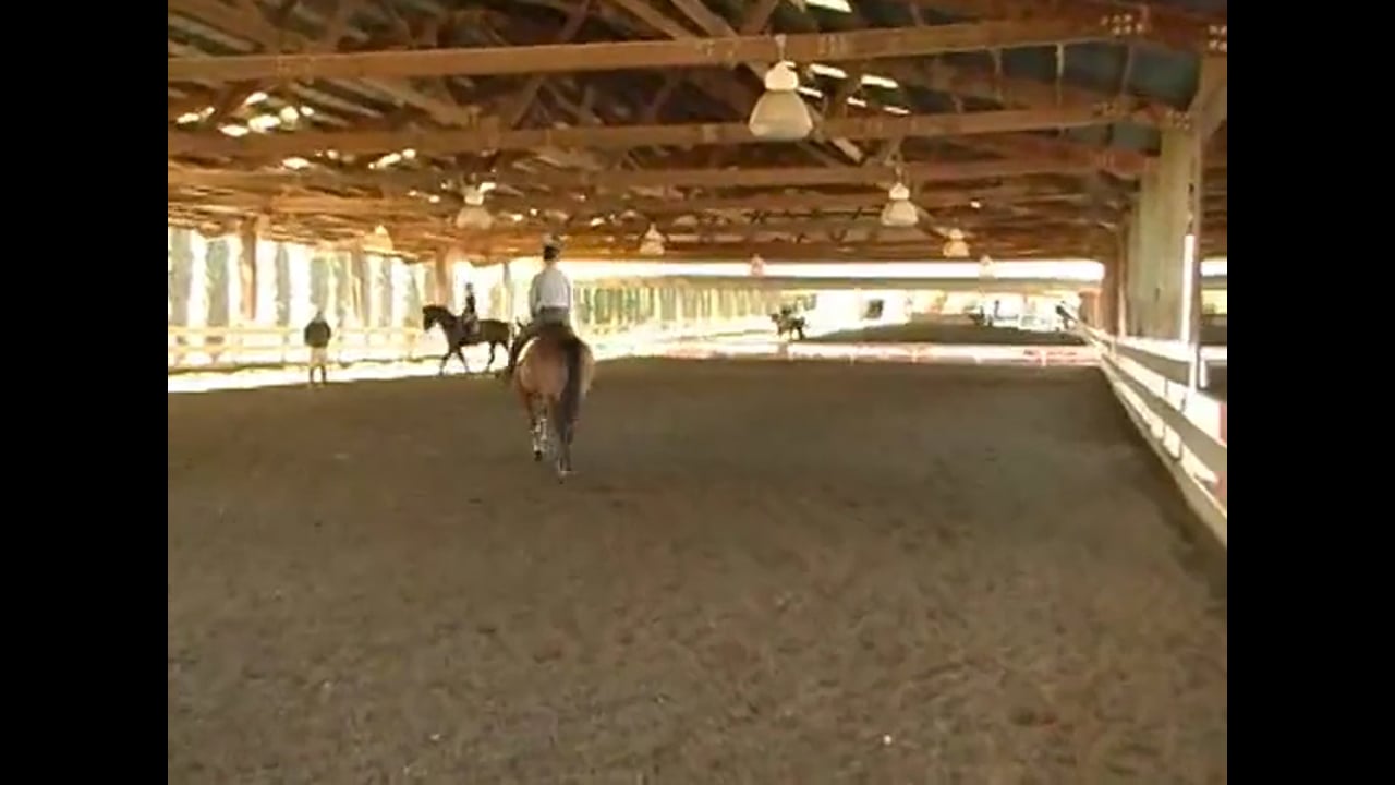 more canter development and seat awareness within the canter