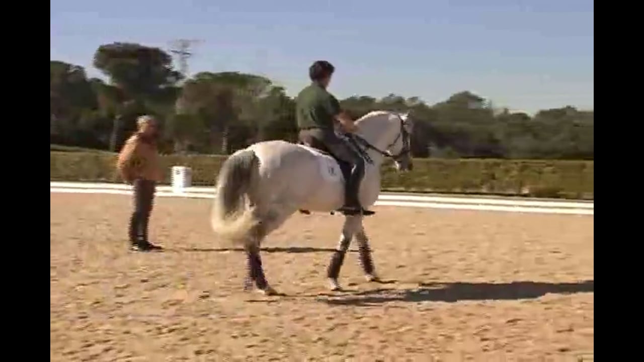 More work within all gaits.