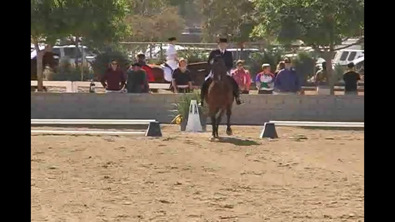 Judging Intermediare II, S Level Test | Marlene Schneider