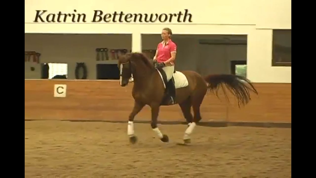 Moving Up From PSG | Katrin Bettenworth | PART 03