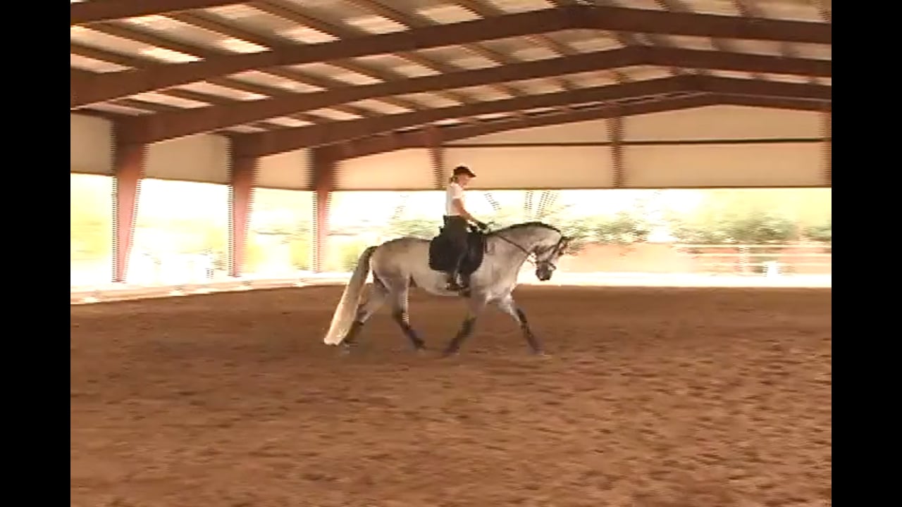 FarmVet/USDF Adult Clinic: Moving Up from Intermediate | Lilo Fore | INTRO