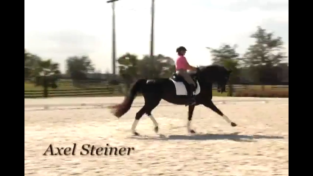 Moving from Third to Fourth | Axel Steiner | PART 03