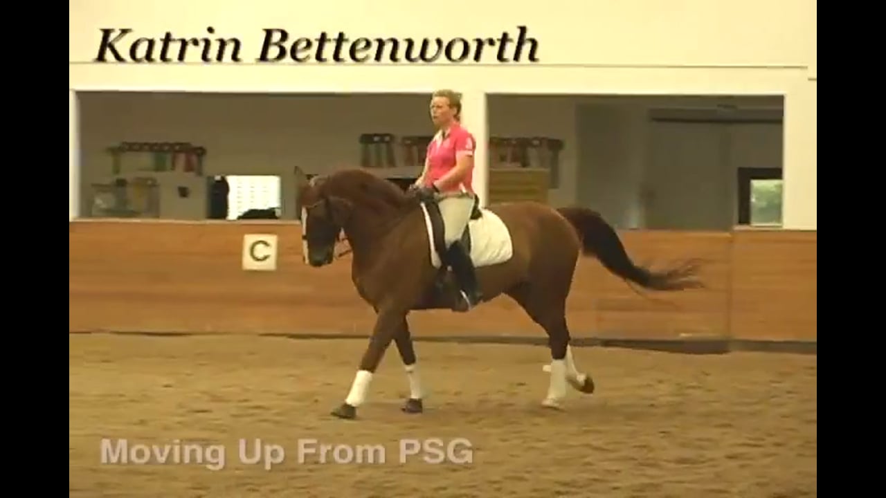 Moving Up From PSG | Katrin Bettenworth | PART 02