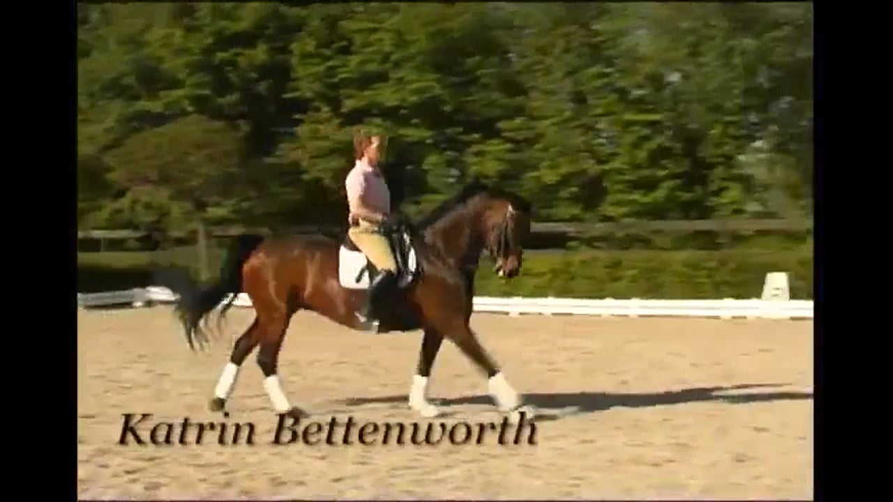 Moving Up to Grand Prix | Katrin Bettenworth | PART 03