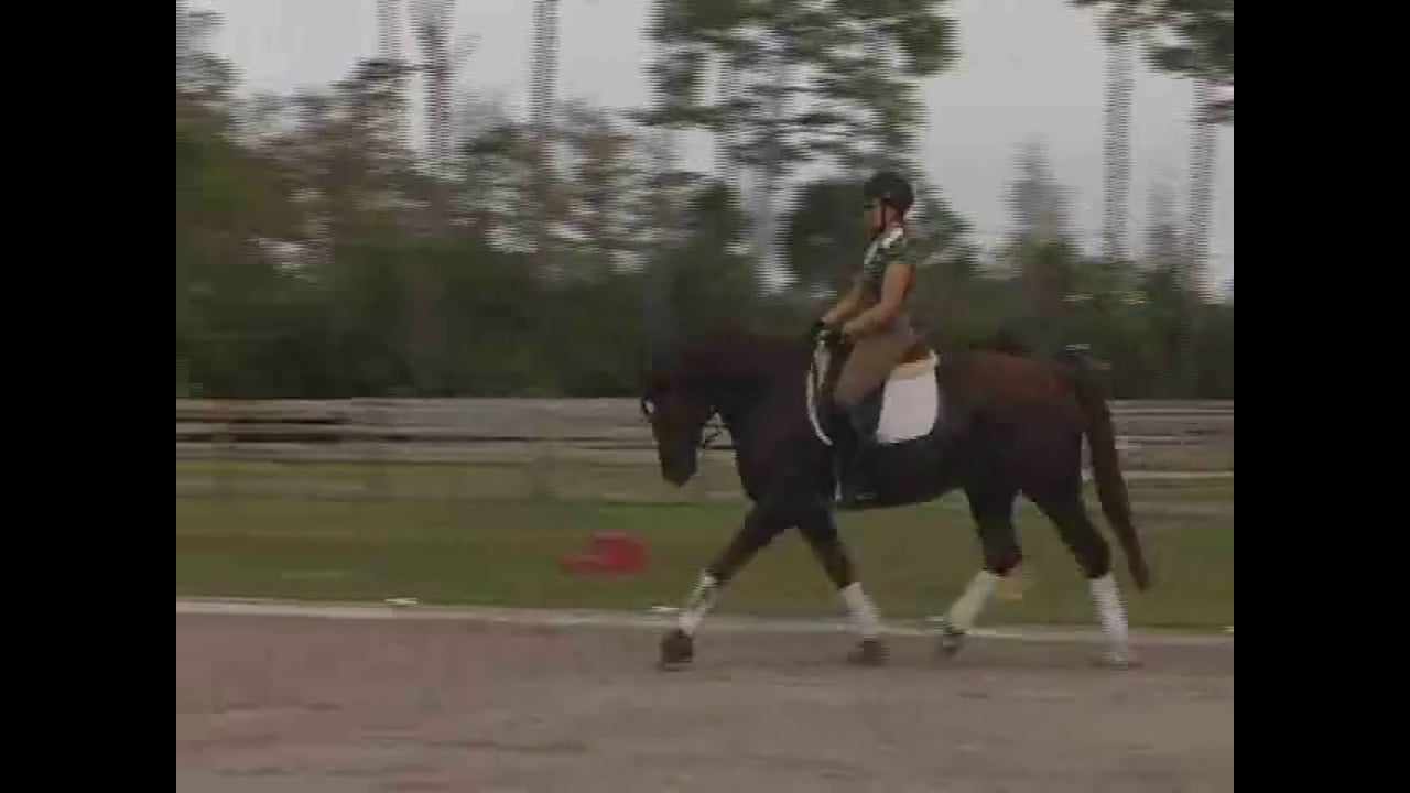 Create a Forward-Thinking Horse | Nancy Later | INTRO