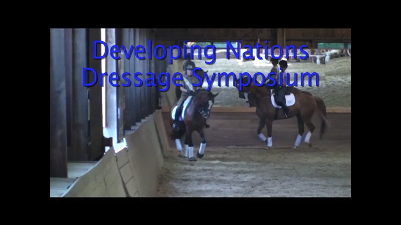 Multiple GP Horses Perform the Same Movements | Axel Steiner | PART 02