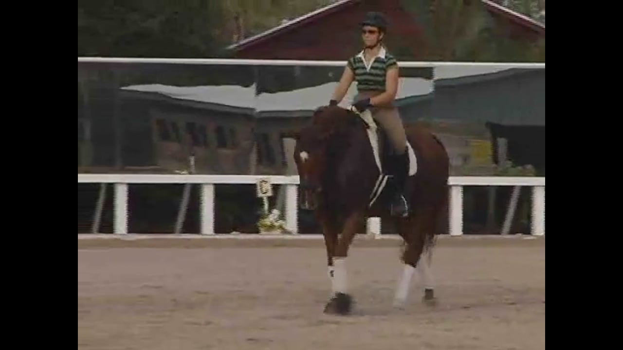Create a Forward-Thinking Horse | Nancy Later | PART 02