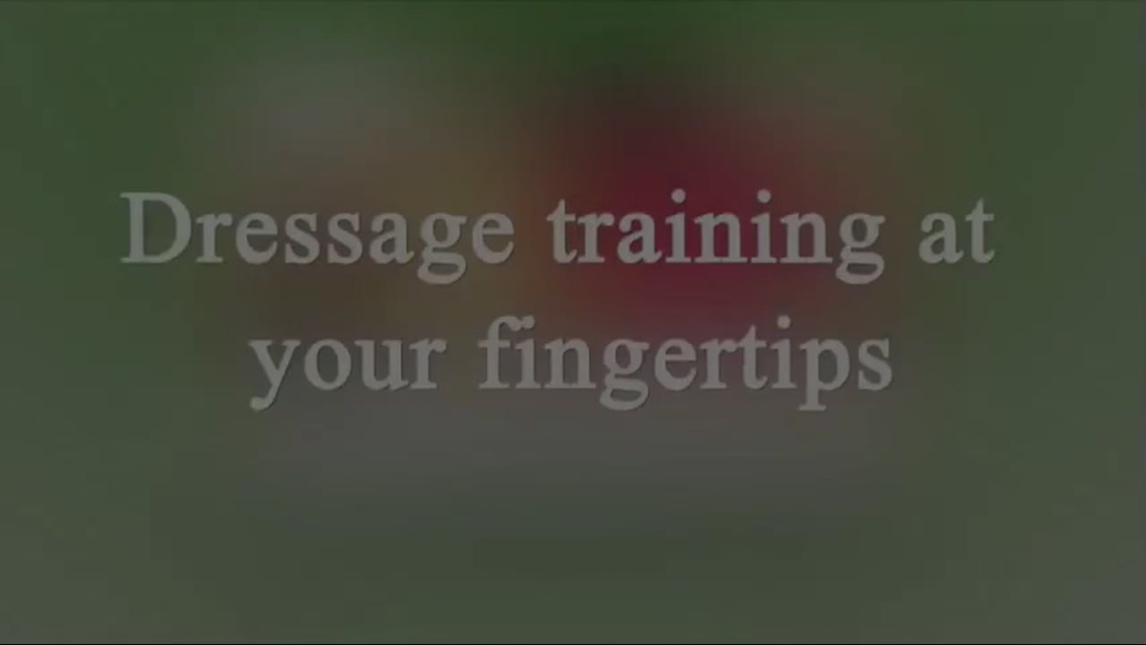 Teaching Rein Back | Nancy Later