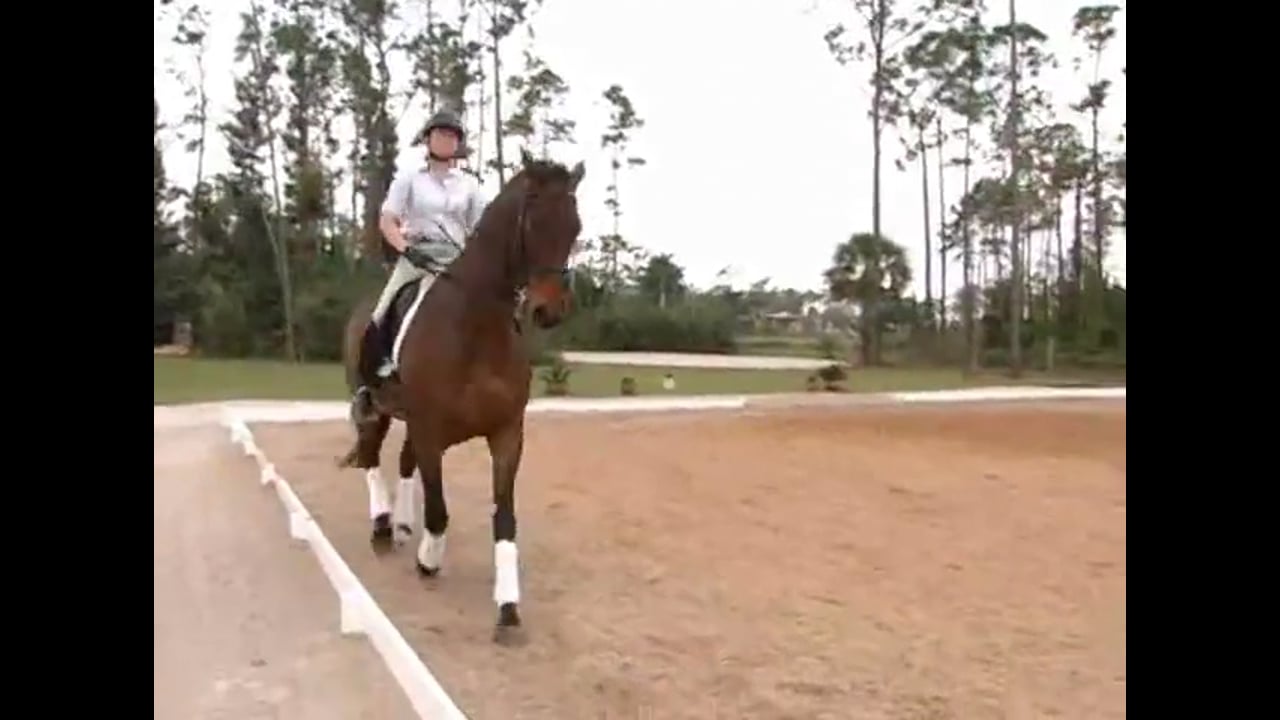 Improving Suppling, Shoulder In and Half Pass | Nancy Later | PART 02